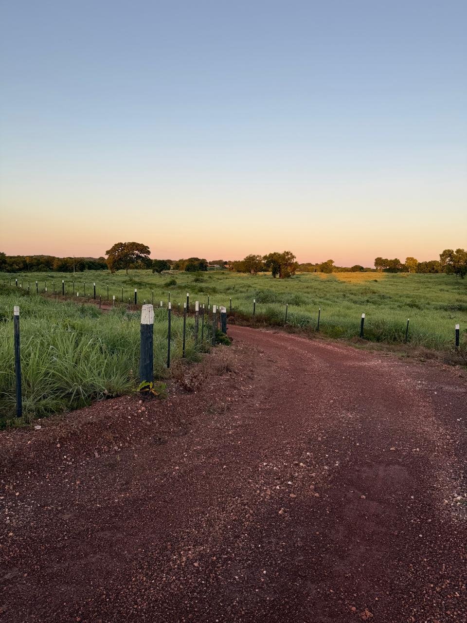 Fazenda em Nossa Senhora do Livramento - MT / 319Ha